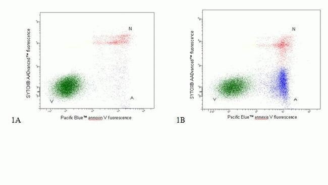 Flow Cytometry dual parameter dot plot  of Jurkat cells stained with Apoptosis Kit - Pacific Blue™ Annexin V/SYTOX® AADvanced™ *for flow cytometry* *50 tests*